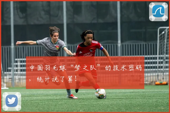 中国羽毛球“梦之队”的技术密码，统计说了算！